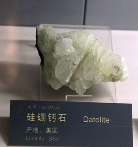 �����ʯ�걾