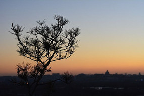 Ϧ��������