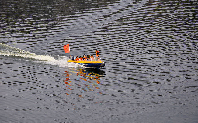 �����еĴ�ֻͼƬ