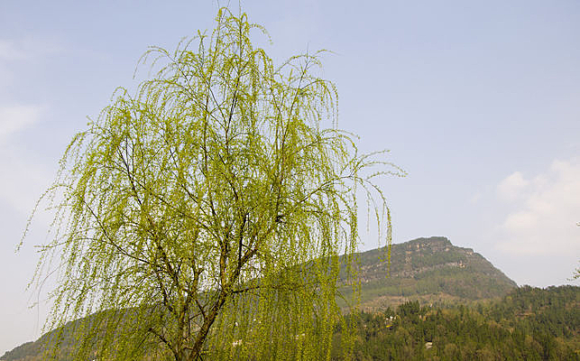 �����µ�����ͼƬ