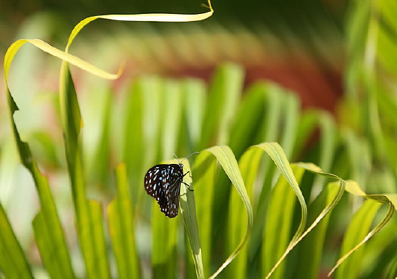 ����С���ϵĺ���