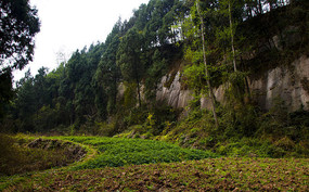 ũ�����ͼƬ