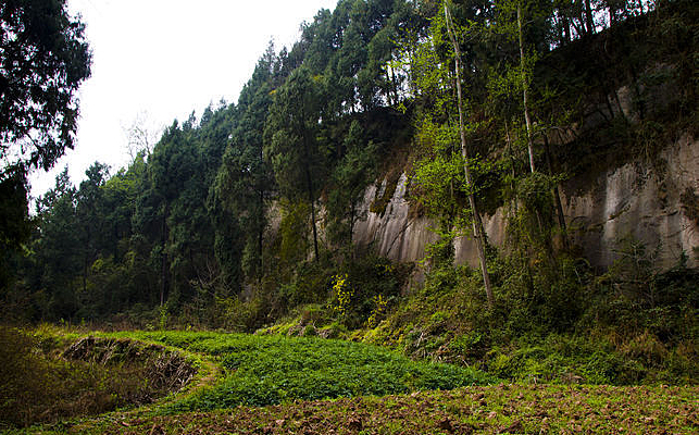 ũ�����ͼƬ