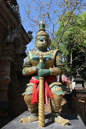 ���������»�������