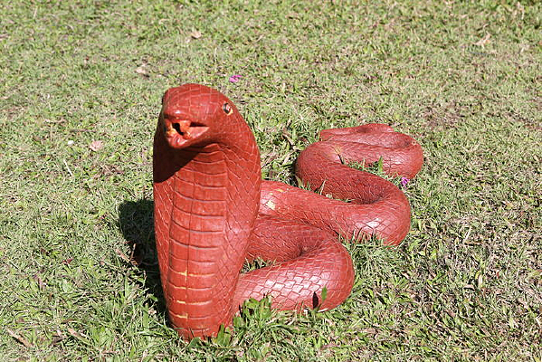 �����µĺ��ߵ���