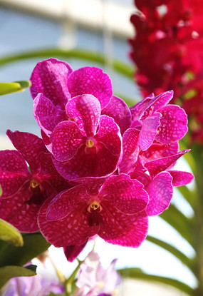 �ȴ����ɫ����