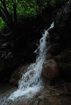 ������Ȫ