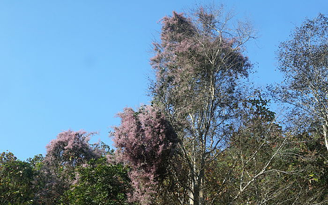 ̩�����޻���