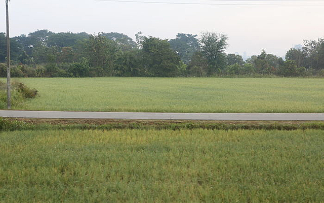 ̩��ũ��ˮ����