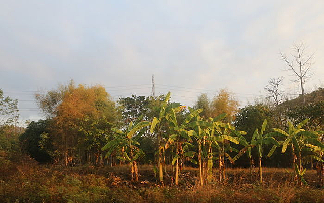 ̩��ũ����԰