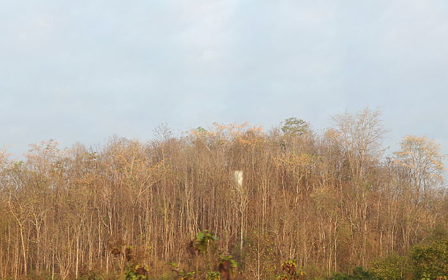 ̩�������ľ