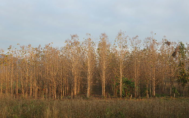 ̩�������԰��ľ