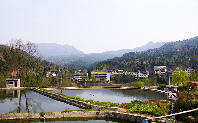 ��԰���ͼƬ