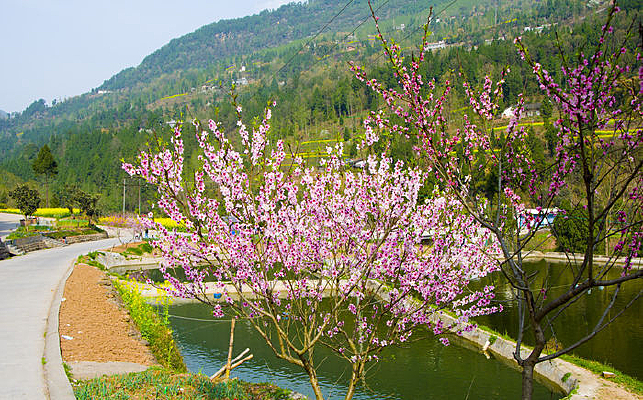 �����԰��ɫͼƬ