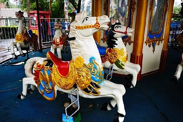 ��ת��ľ������԰