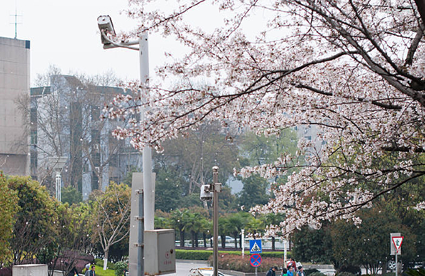 ����ӣ��