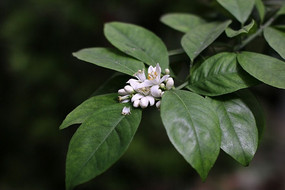 �����ʻ�