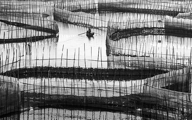 �����˳���Χ��