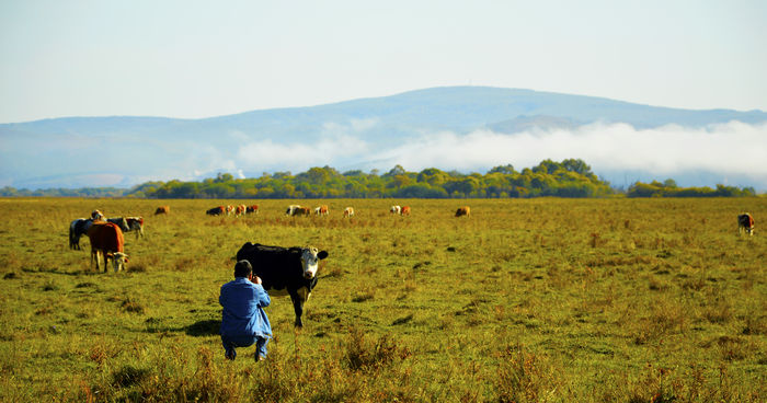 ��ţ����