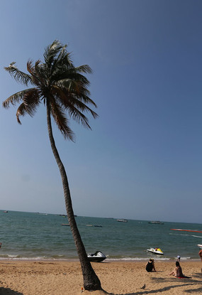 ����Ҷ��