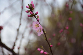 ���캬������