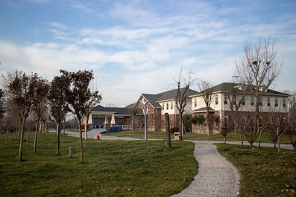 ���������ı���