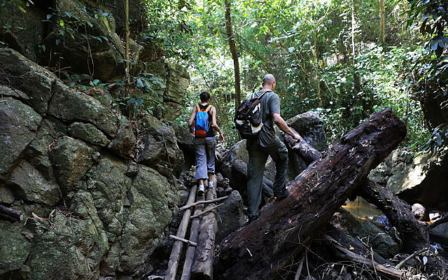 �����˶����ִ�Խ