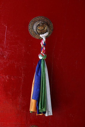 �����Ż�