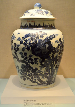 �໨����ĵ���Ƹǹ�