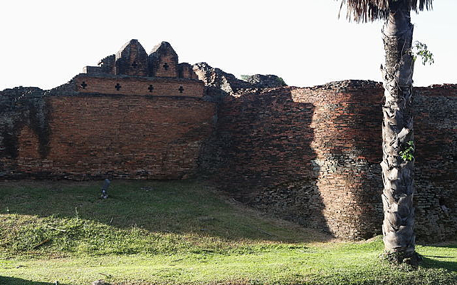 �����ų�ǽ