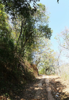 清迈农村道路