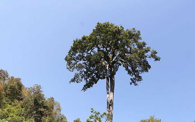 �����ȴ����ֵĲ������