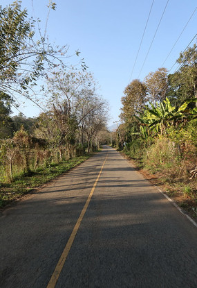 ����ɽ���ĵ�·