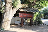 ̩ɽ��ׯ���