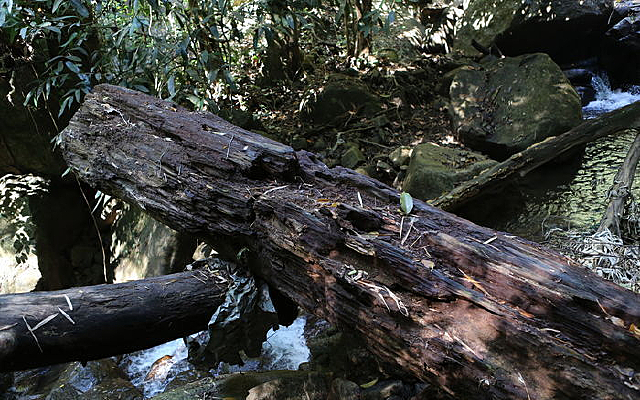 �ȴ�������Ŀ�����