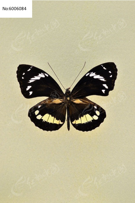 ʪ�غ�篵�ͼƬ