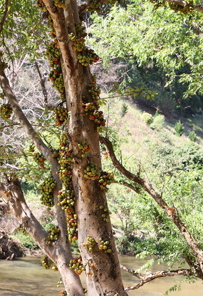 ̩������