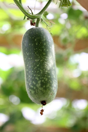 ˮ������