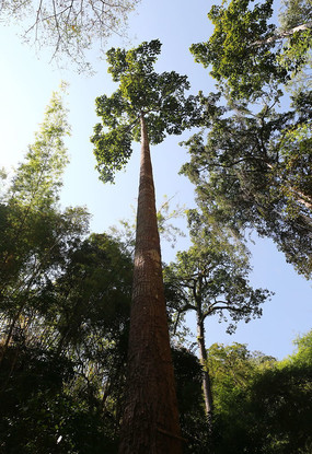 ̩�����ȴ�����