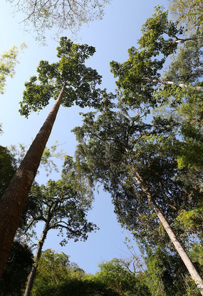 ̩�������־���