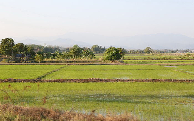 ̩������