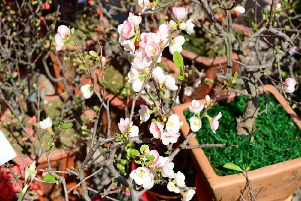 �һ�����