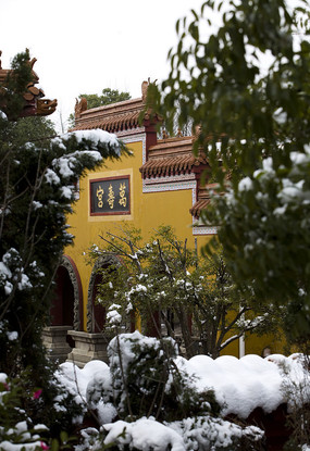 ���ٹ���ͷ