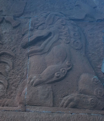 ���ŵ�ʨ��