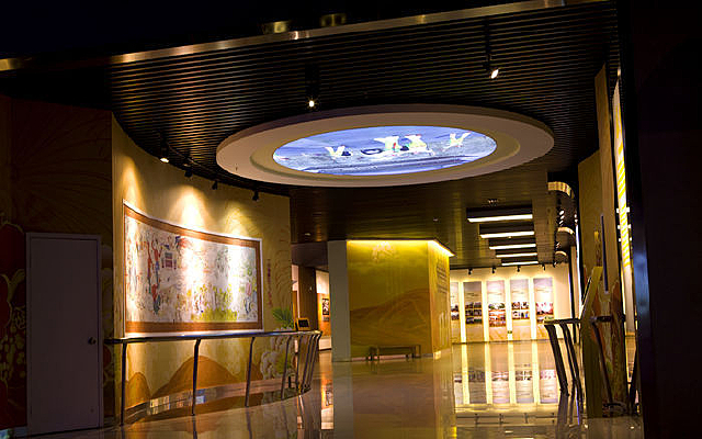 �����չʾ�ֲ�