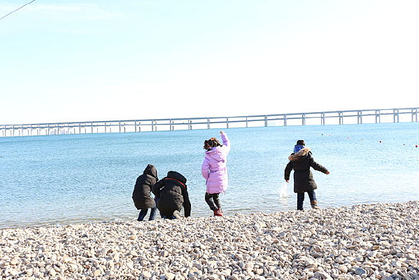 ��ͼ�󺣱����ز�