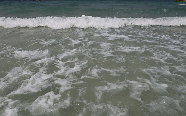 ���˺���ĭ