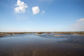 �ƺӿ�ʪ����Ȼ���