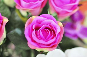 ���޵�õ��