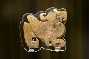 �̴����� ������